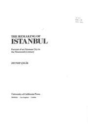The remaking of Istanbul : portrait of an Ottoman city in the nineteenth century /