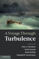 A voyage through turbulence