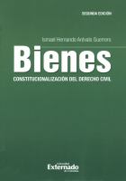 Bienes: Constitucionalización del derecho civil - 2da. Edición .