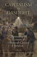 Capitalism by gaslight : illuminating the economy of nineteenth-century America /