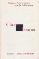 Class issues pedagogy, cultural studies, and the public sphere /