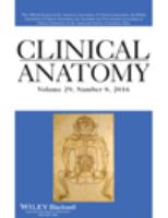 Clinical anatomy