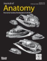 Journal of anatomy