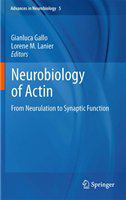 Neurobiology of Actin From Neurulation to Synaptic Function /