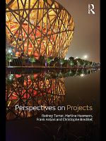 Perspectives on projects