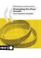 Promoting pro-poor growth policy guidance for donors.