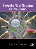 Protein trafficking in neurons