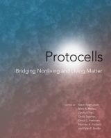 Protocells bridging nonliving and living matter /