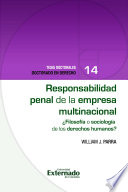 Responsabilidad Penal de la Empresa Multinacional ¿Filosofía o Sicología de los Derechos Humanos? : Tesis Doctorales Doctorado en Derecho N. 14.