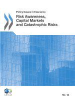 Risk awareness, capital markets and catastrophic risks