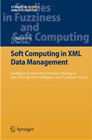 Soft Computing in XML Data Management Intelligent Systems from Decision Making to Data Mining, Web Intelligence and Computer Vision /