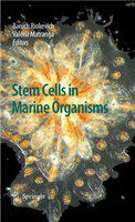 Stem Cells in Marine Organisms