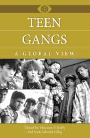 Teen gangs a global view /