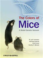 The colors of mice a model genetic network /