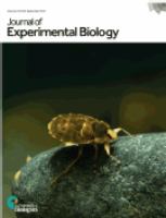 The journal of experimental biology