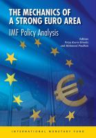 The mechanics of a strong Euro Area IMF policy analysis /