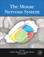 The mouse nervous system