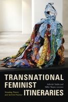 Transnational feminist itineraries situating theory and activist practice /