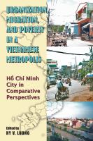 Urbanization, migration, and poverty in a Vietnamese metropolis : Hồ Chí Minh City in comparative perspectives /