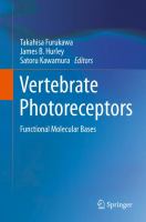 Vertebrate Photoreceptors Functional Molecular Bases /