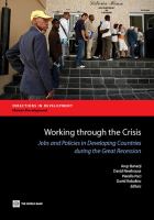 Working through the crisis jobs and policies in developing countries during the great recession /