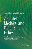 Zebrafish, Medaka, and Other Small Fishes New Model Animals in Biology, Medicine, and Beyond /