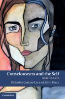 Consciousness and the self : new essays /