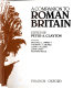 A Companion to Roman Britain /