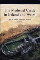 The medieval castle in Ireland and Wales : essays in honour of Jeremy Knight /