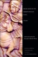 From Roman to Merovingian Gaul : a reader /
