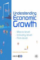 Understanding economic growth : macro-level, industry-level, firm-level /