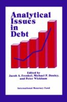 Analytical issues in debt /