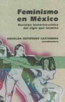 Feminismo en México : revisión histórico-crítica del siglo que termina /