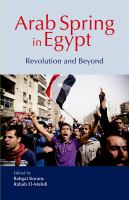 Arab spring in Egypt : revolution and beyond /