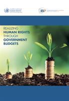 Realizing human rights through government budgets /