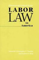 Labor law in America : historical and critical essays /