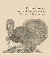 Picture ecology : art and ecocriticism in planetary perspective /