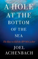 A hole at the bottom of the sea : the race to kill the BP oil gusher /