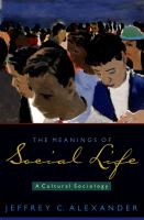 The meanings of social life a cultural sociology /