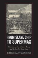 From slave ship to Supermax mass incarceration, prisoner abuse, and the new neo-slave novel /