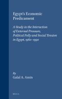 Egypt's economic predicament : a study in the interaction of external pressure, political folly, and social tension in Egypt, 1960-1990 /