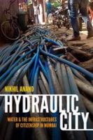 Hydraulic city water and the infrastructures of citizenship in Mumbai /