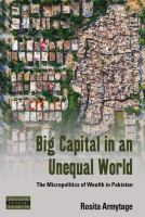 Big capital in an unequal world : the micropolitics of wealth in Pakistan /