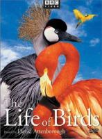 The life of birds /