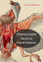 Stripped bare : the art of animal anatomy /