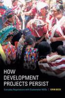 How development projects persist : everyday negotiations with Guatemalan NGOs /