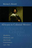 Africans in Colonial Mexico : Absolutism, Christianity, and Afro-Creole Consciousness, 1570-1640.