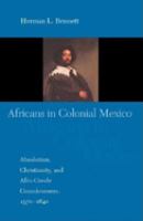 Africans in Colonial Mexico : absolutism, Christianity, and Afro-Creole consciousness, 1570-1640 /