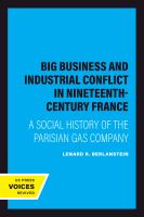 Big Business and Industrial Conflict in Nineteenth-Century France /