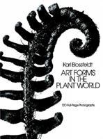 Art forms in the plant world : 120 full-page photographs /